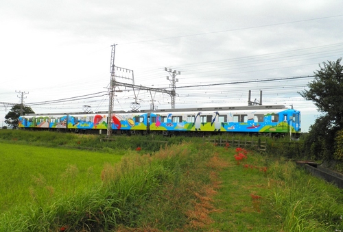 全景.JPG